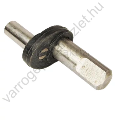 Naumann Z csap 